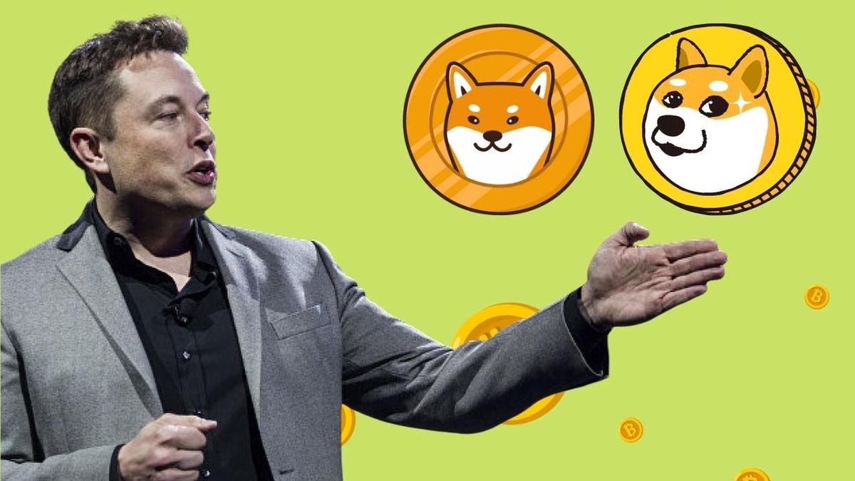 'Video thumbnail for Best Cryptocurrency to buy in 2022 According to Elon Musk'