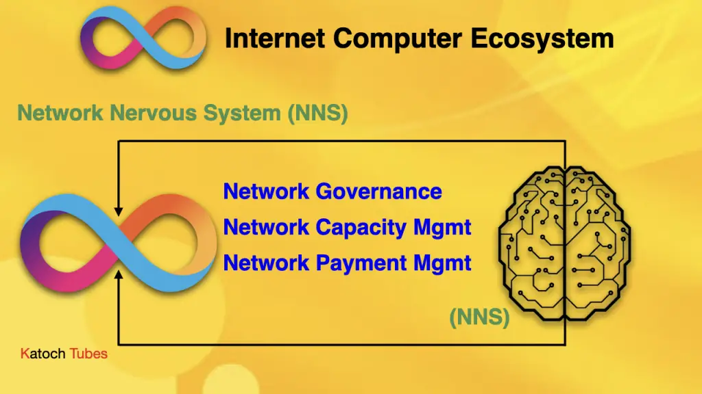 Network Nervous System of Internet Computer ICP Coin
