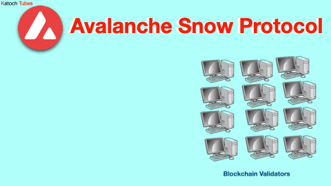 Avalanche crypto snow protocol in action