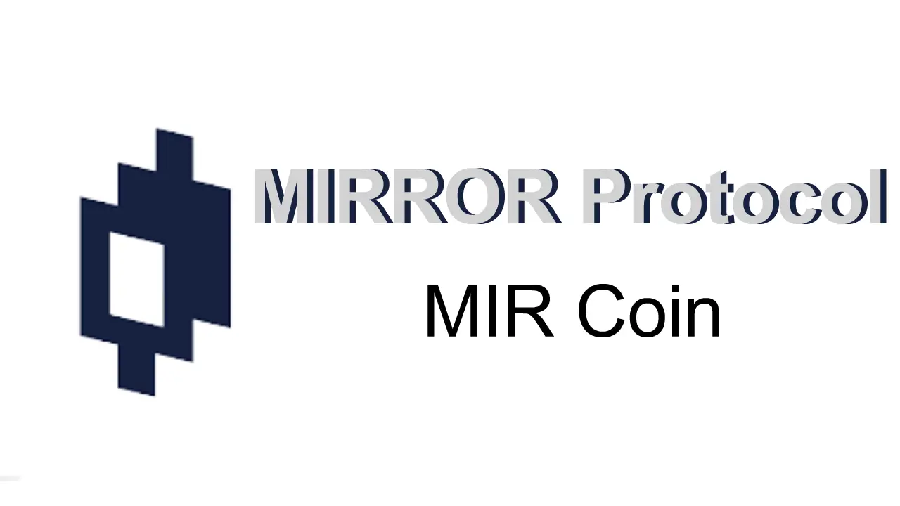 mirror protocol review