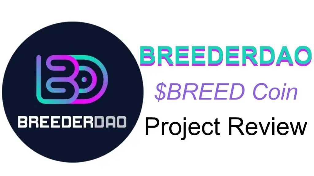 Breederdao Project Review
