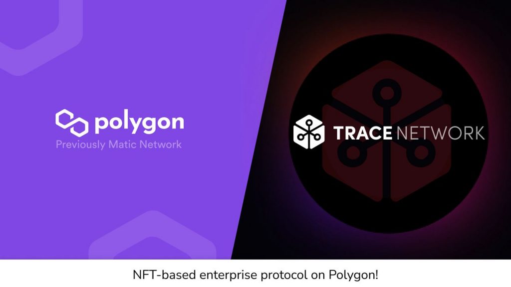 Polygon trace network