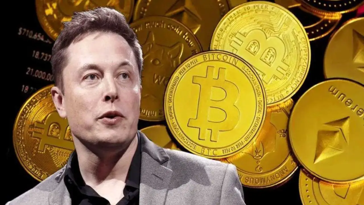 elon twitter payments may bring crypto support